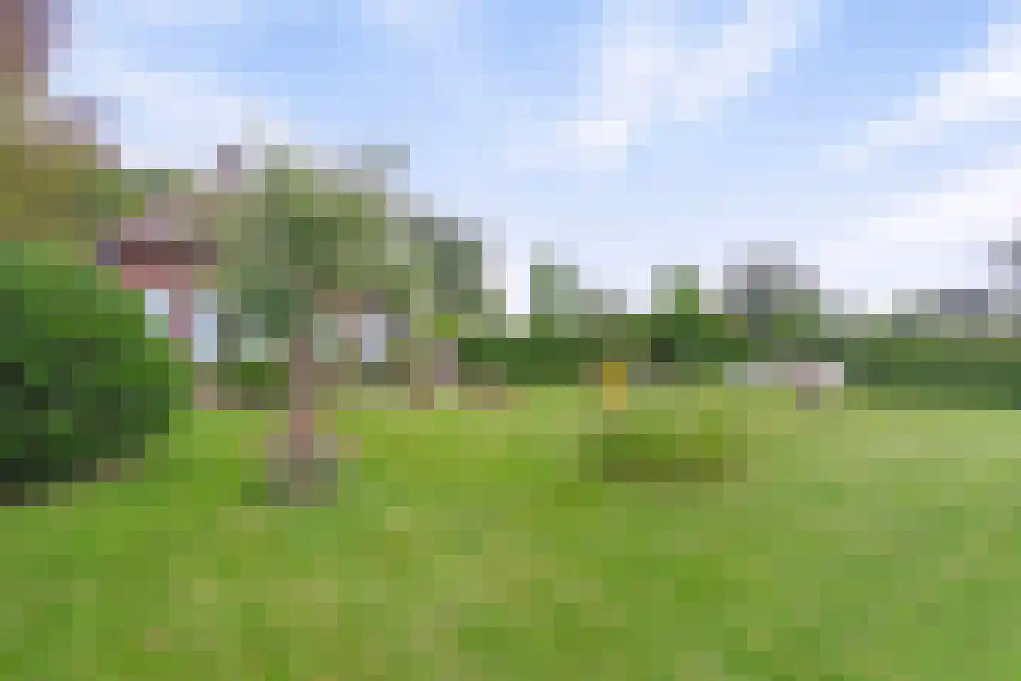 Westeinde 110 Nieuwleusen thumbnail 65