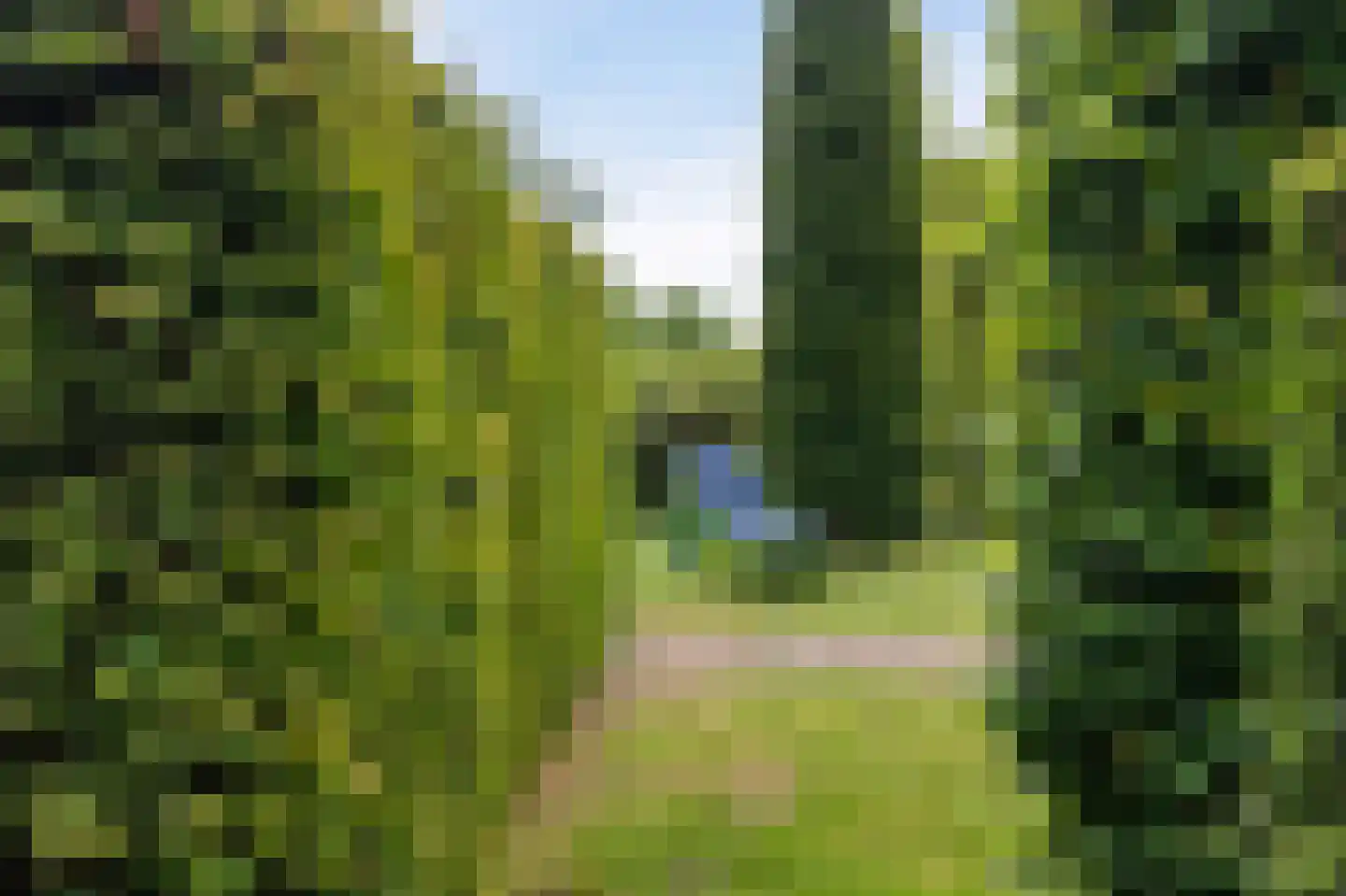 Westeinde 110 Nieuwleusen thumbnail 66