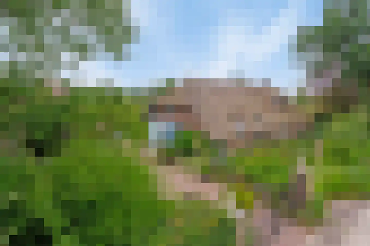 Westeinde 110 Nieuwleusen thumbnail 66