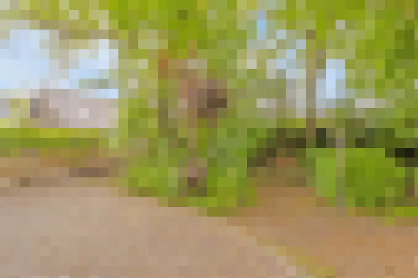 Westeinde 110 Nieuwleusen thumbnail 67