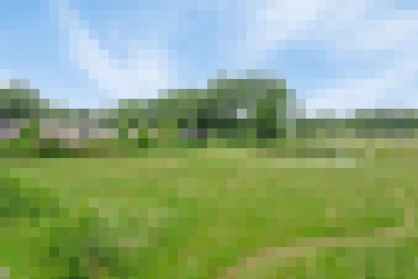 Westeinde 110 Nieuwleusen thumbnail 68