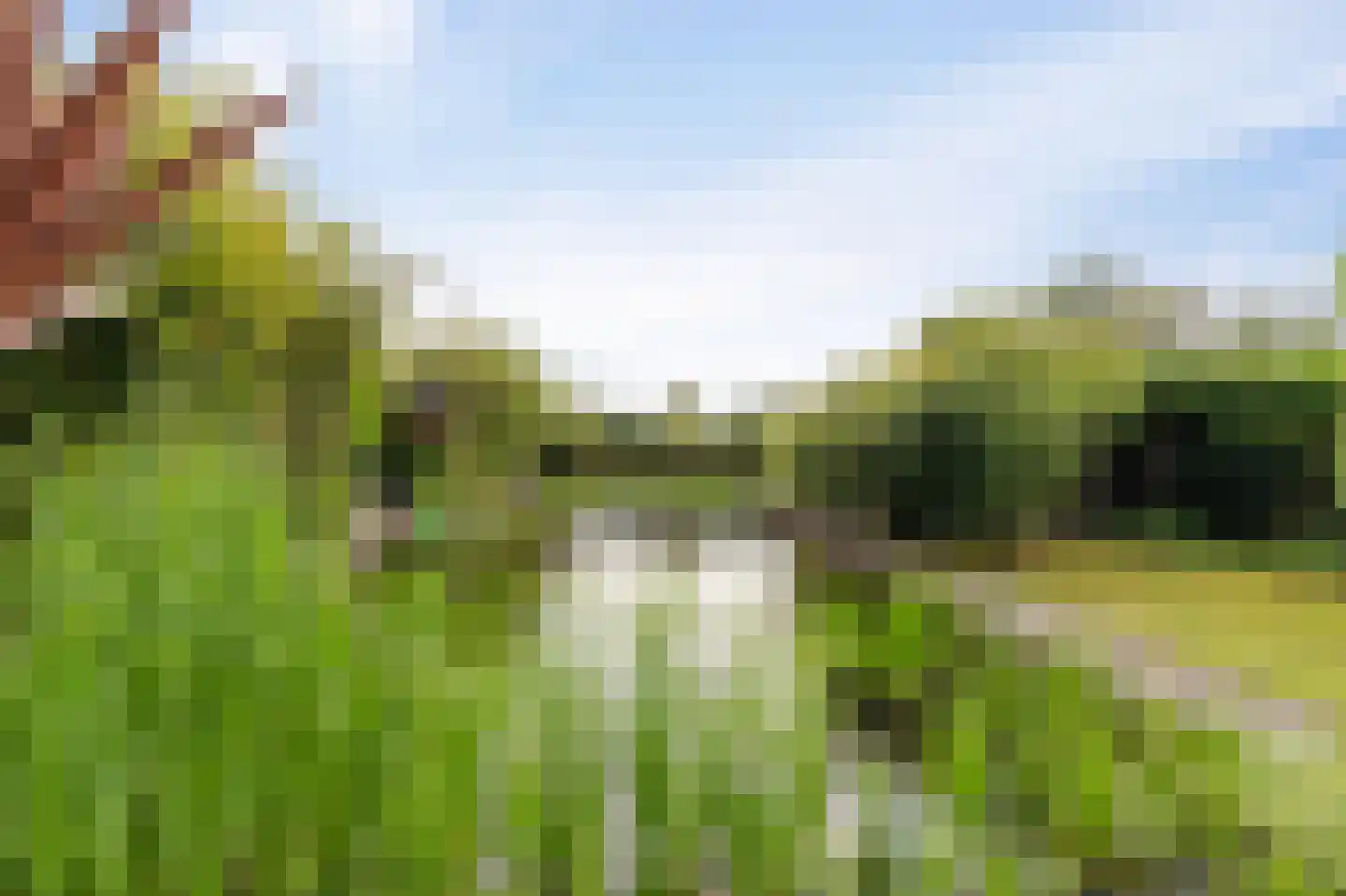 Westeinde 110 Nieuwleusen thumbnail 69