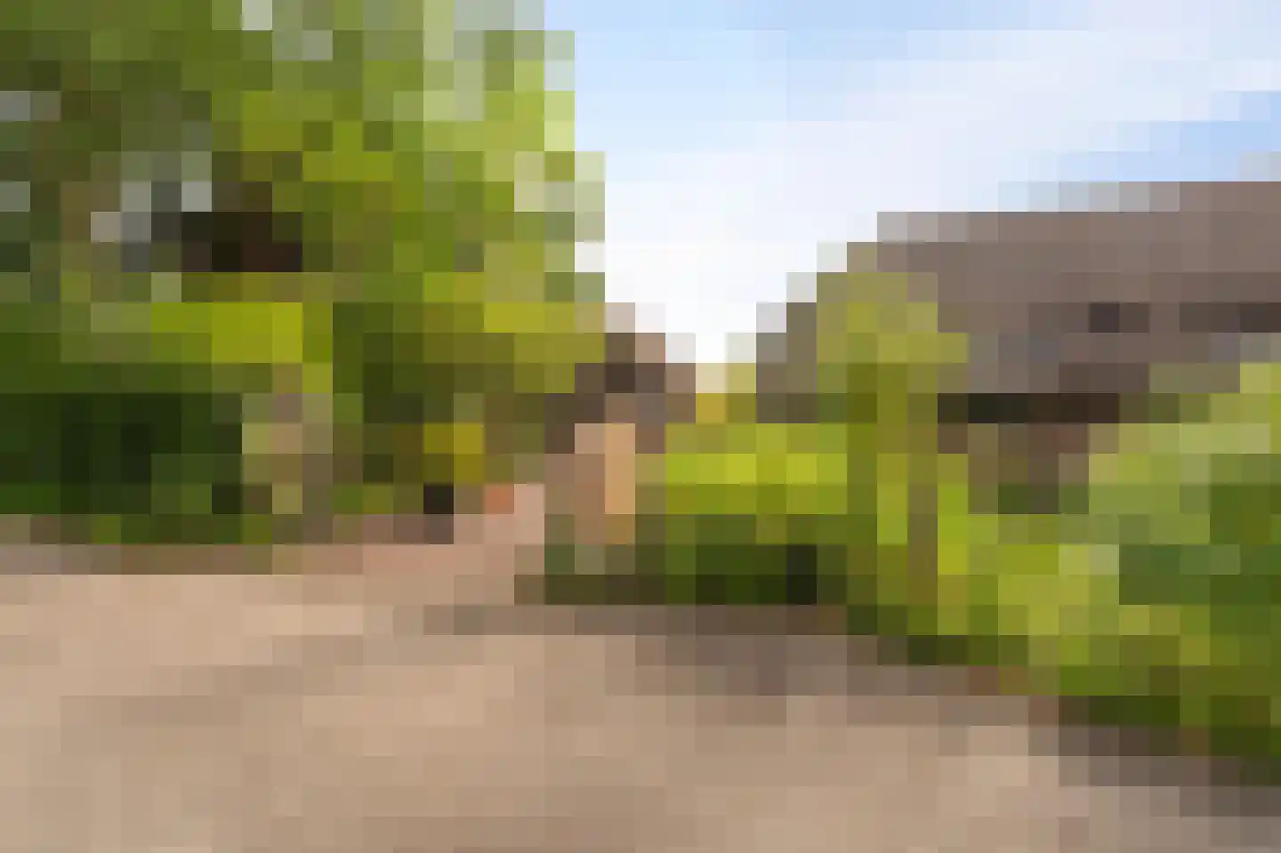 Westeinde 110 Nieuwleusen thumbnail 7