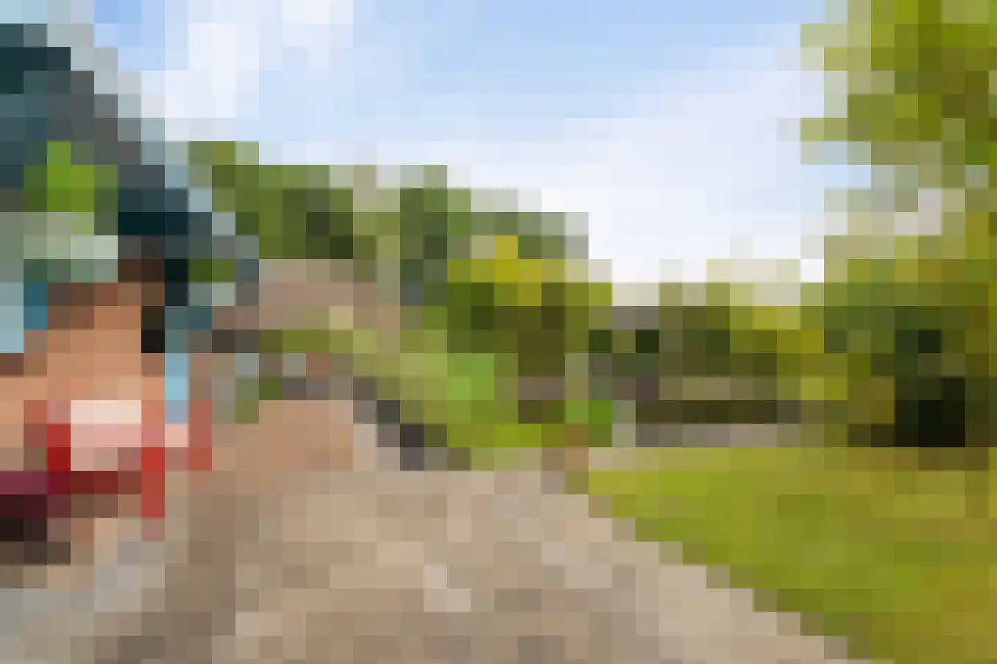 Westeinde 110 Nieuwleusen thumbnail 70