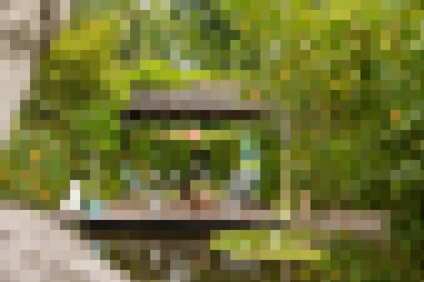 Westeinde 110 Nieuwleusen thumbnail 72