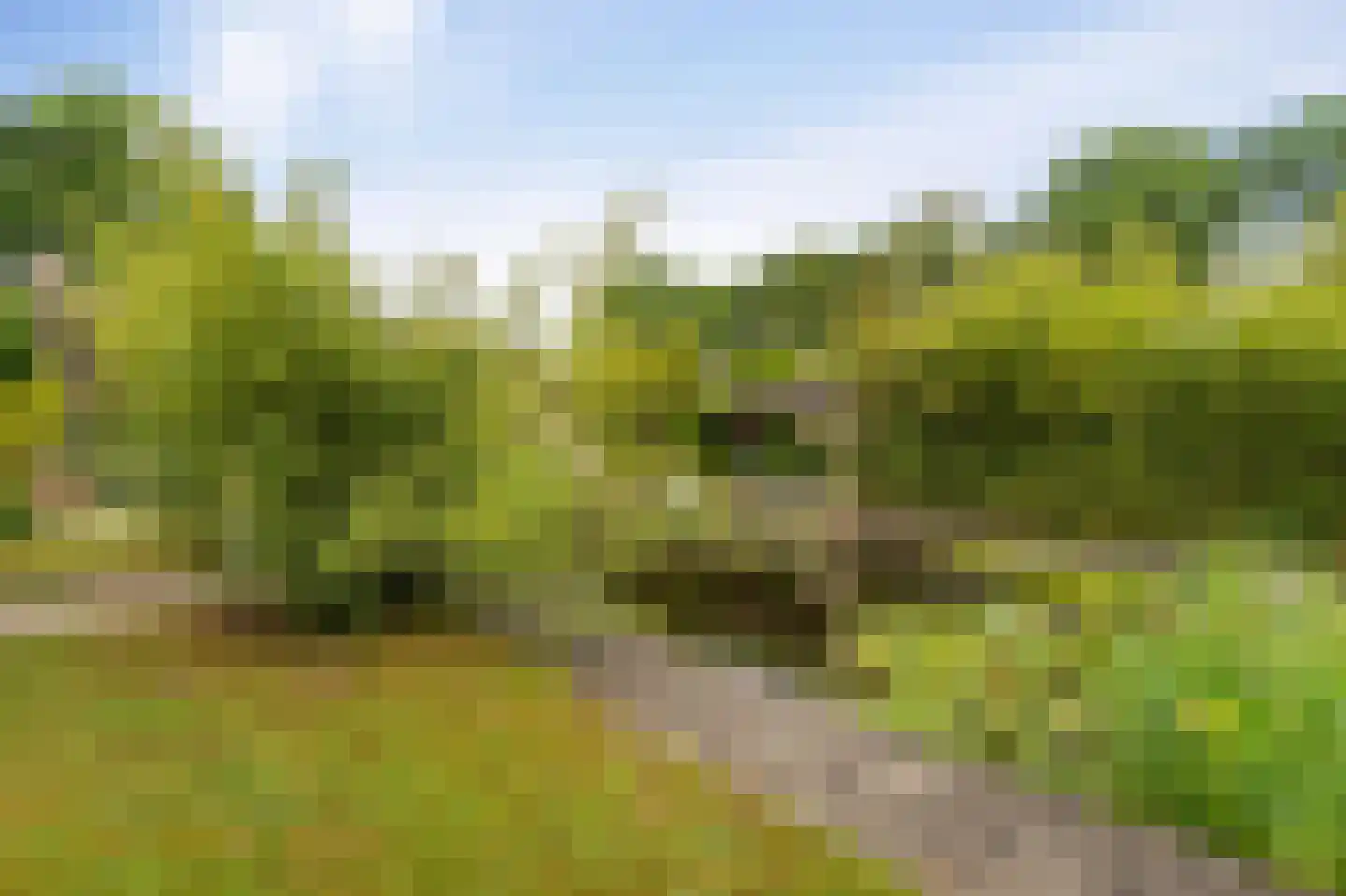 Westeinde 110 Nieuwleusen thumbnail 73