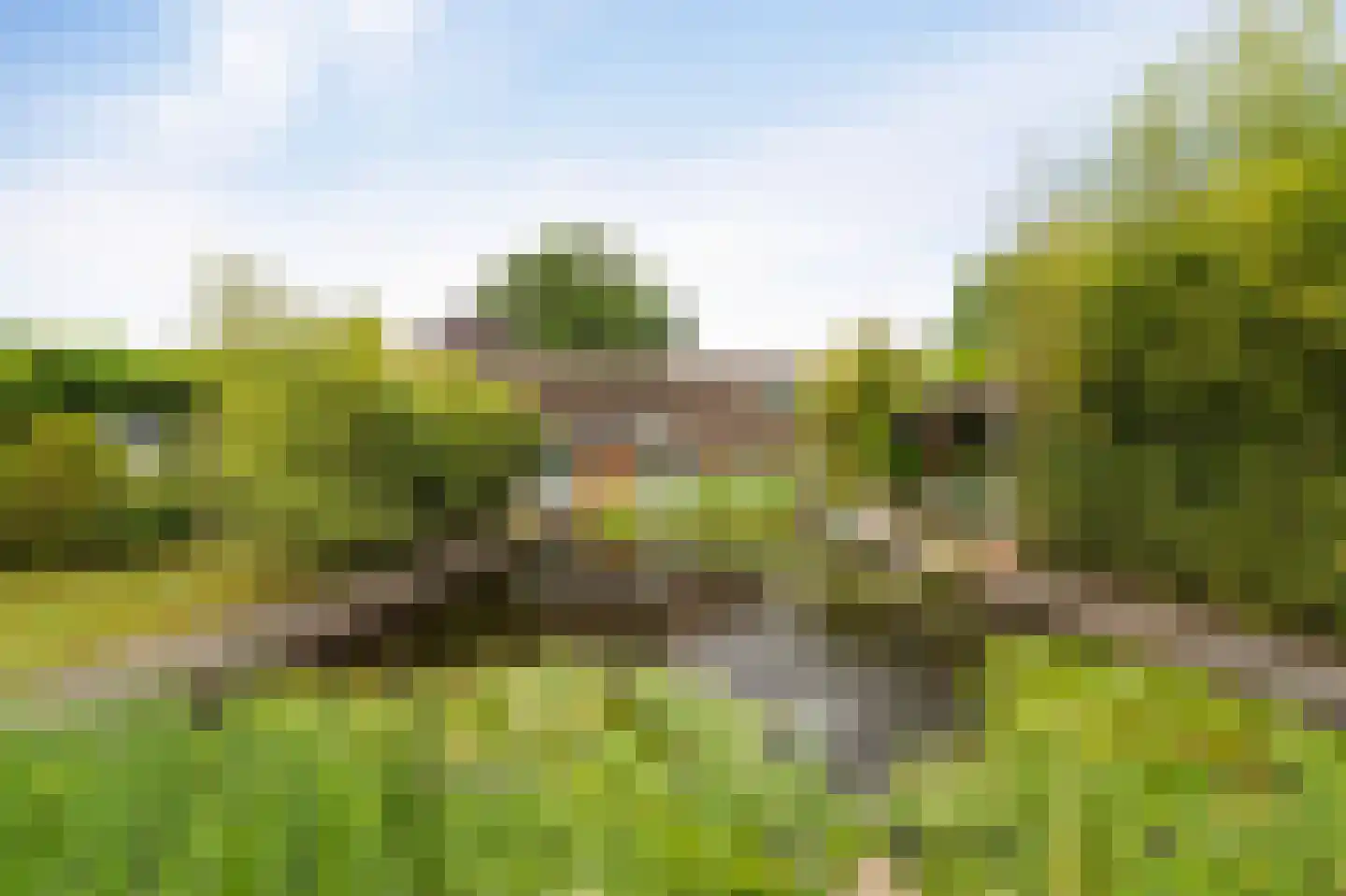 Westeinde 110 Nieuwleusen thumbnail 74