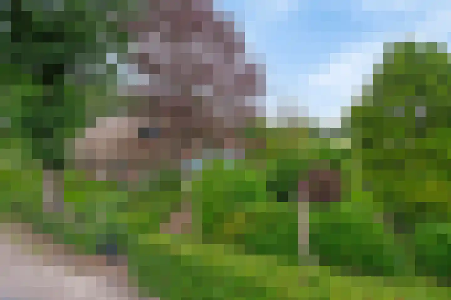 Westeinde 110 Nieuwleusen thumbnail 8