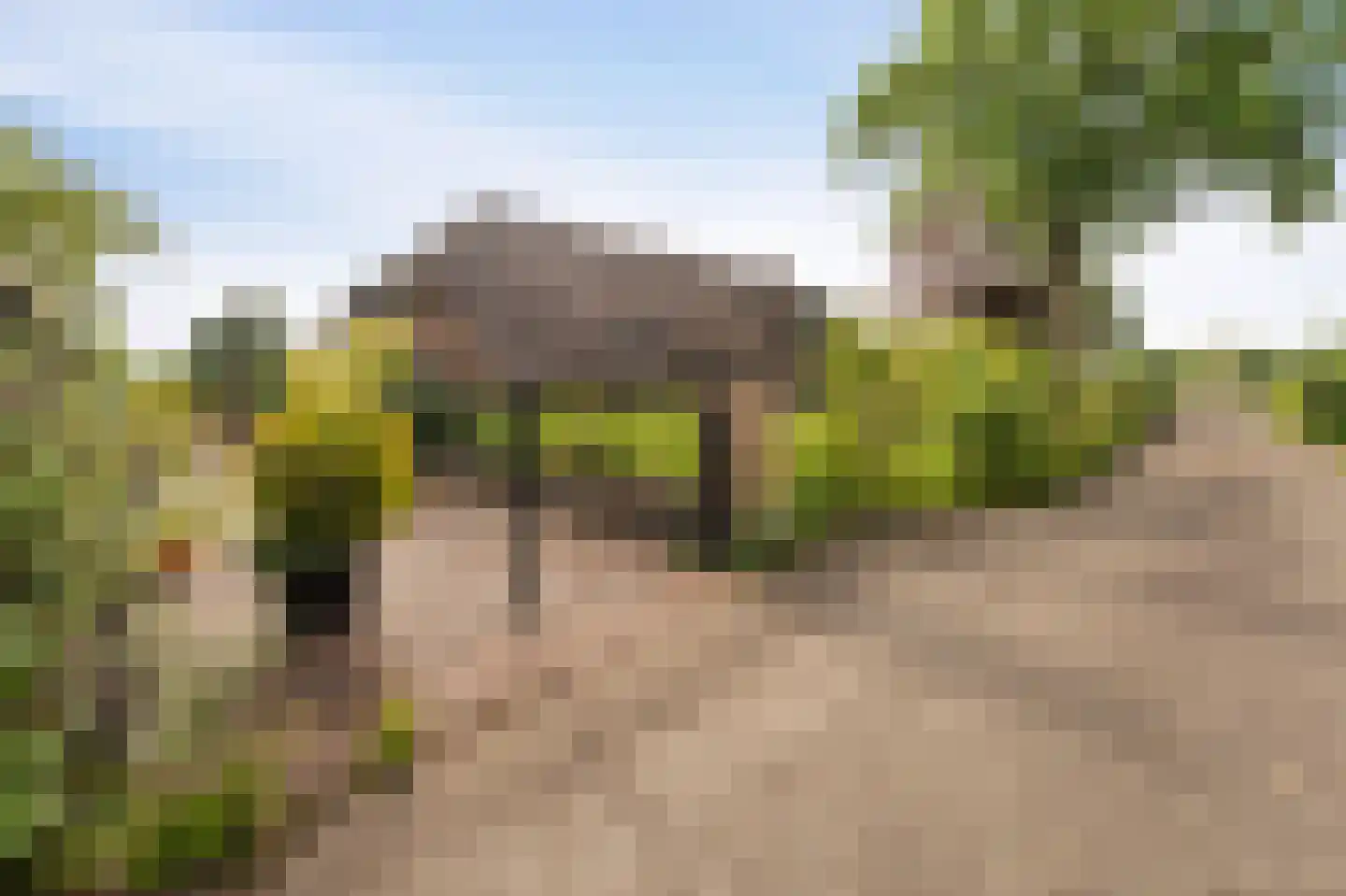 Westeinde 110 Nieuwleusen thumbnail 8