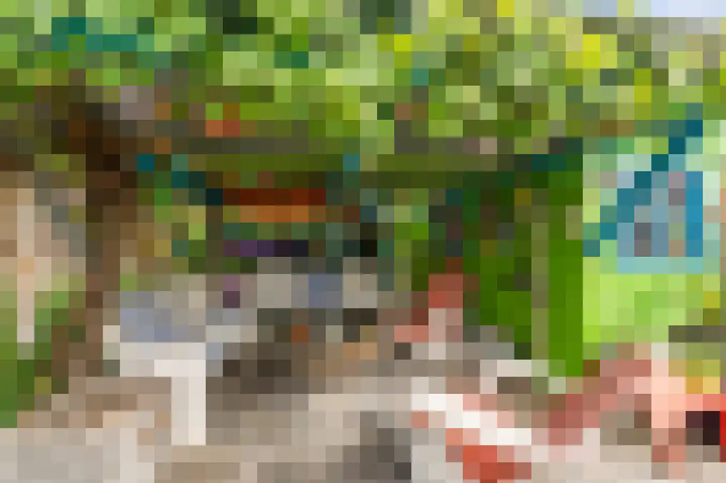 Westeinde 110 Nieuwleusen thumbnail 80