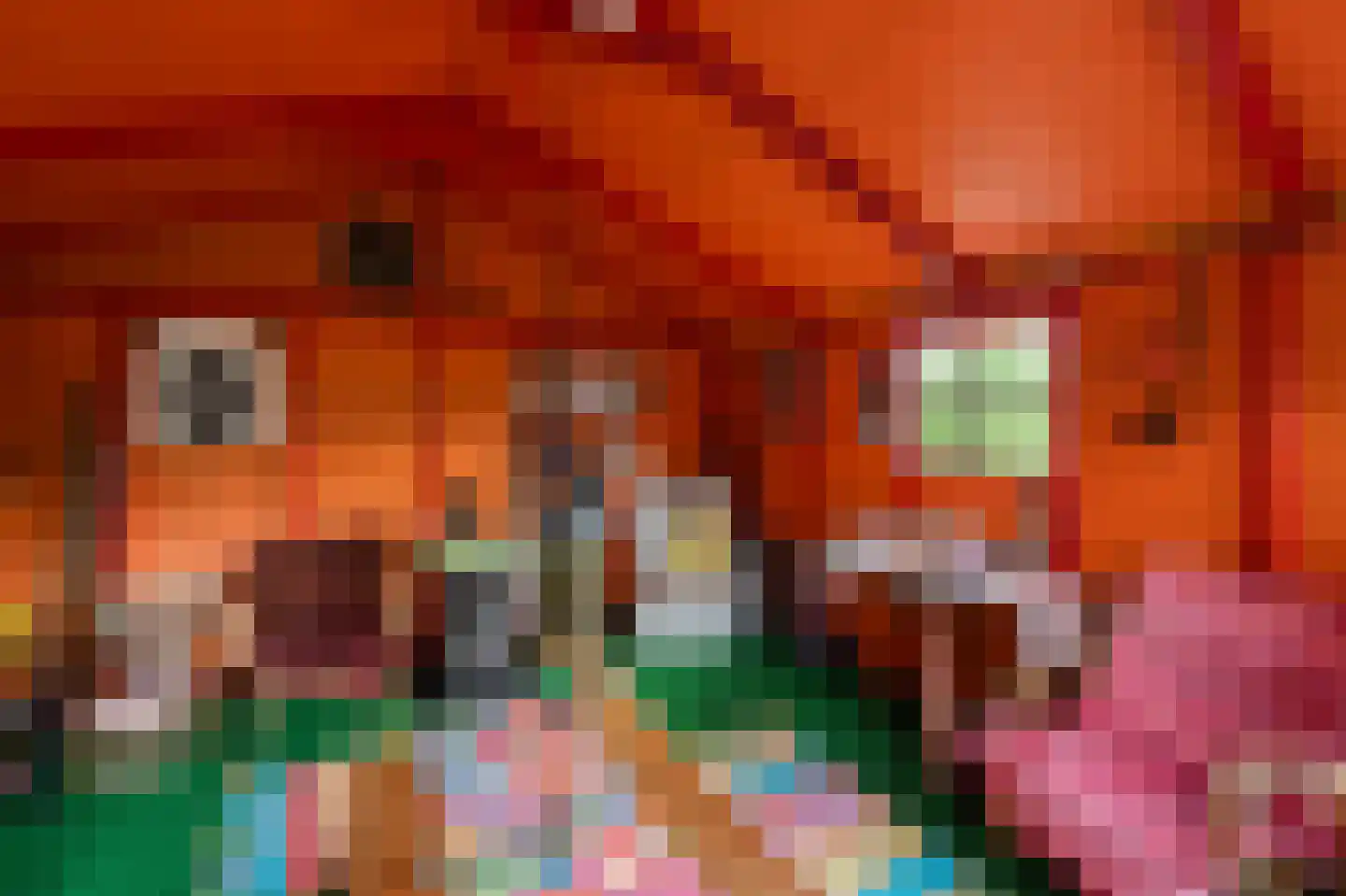 Westeinde 110 Nieuwleusen thumbnail 81