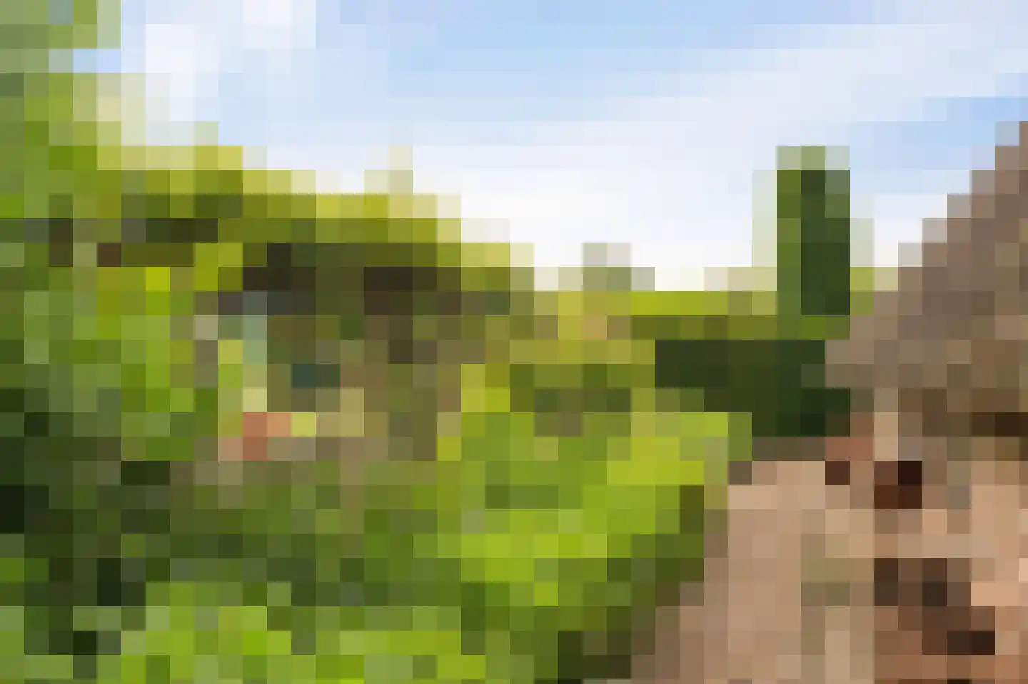 Westeinde 110 Nieuwleusen thumbnail 83