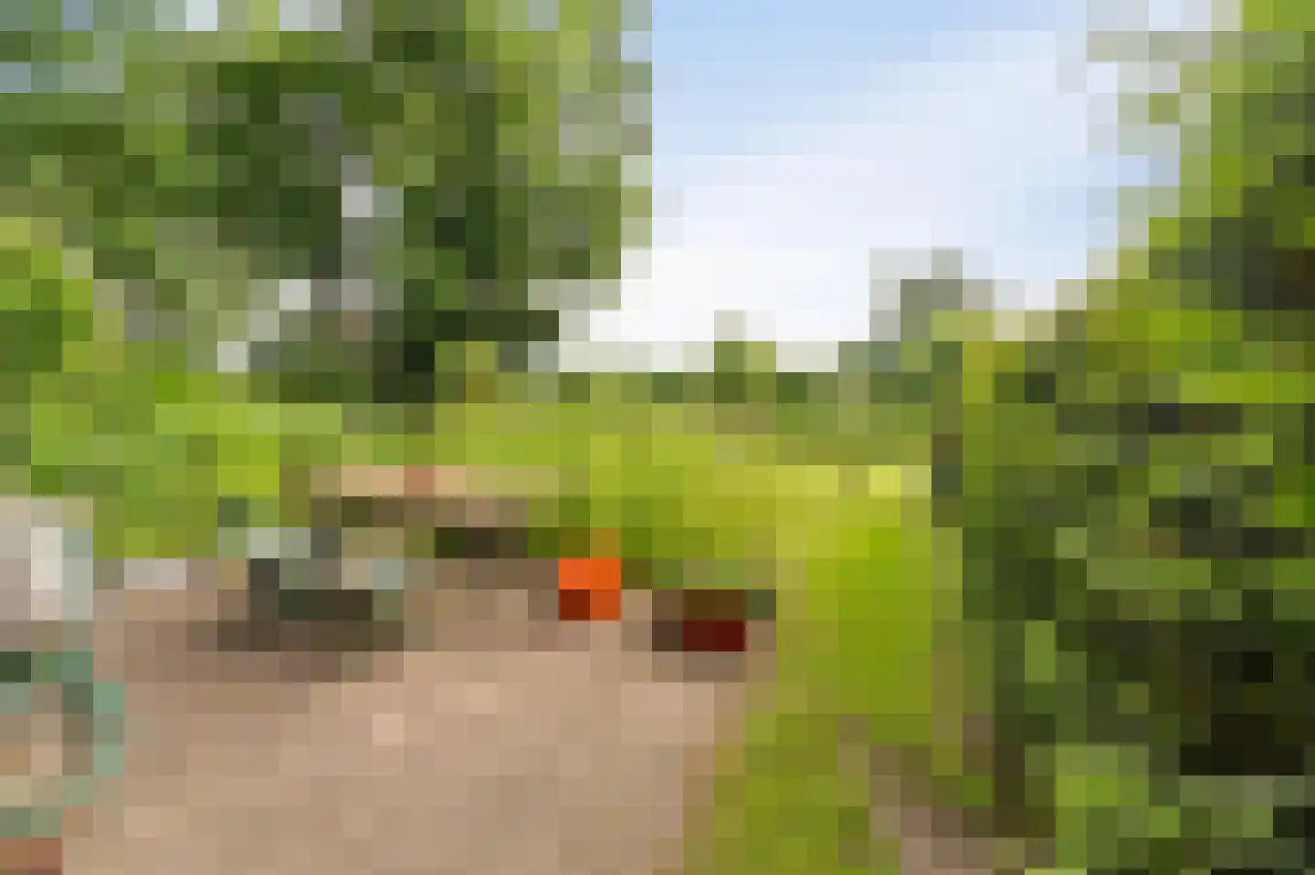 Westeinde 110 Nieuwleusen thumbnail 84
