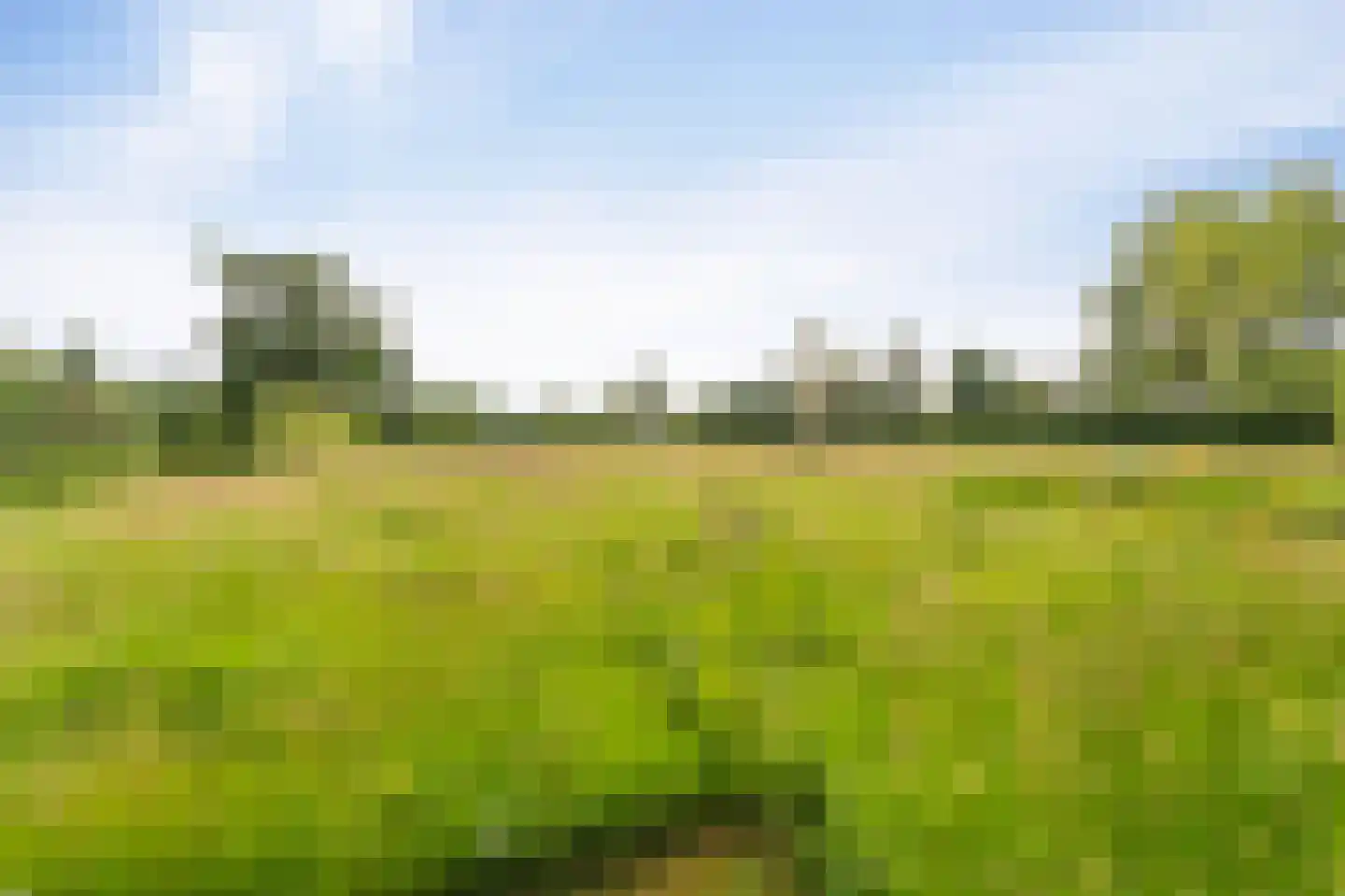 Westeinde 110 Nieuwleusen thumbnail 87