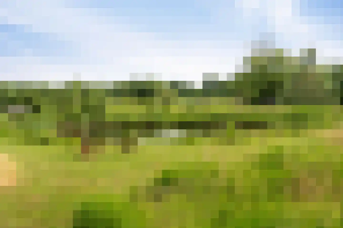 Westeinde 110 Nieuwleusen thumbnail 88