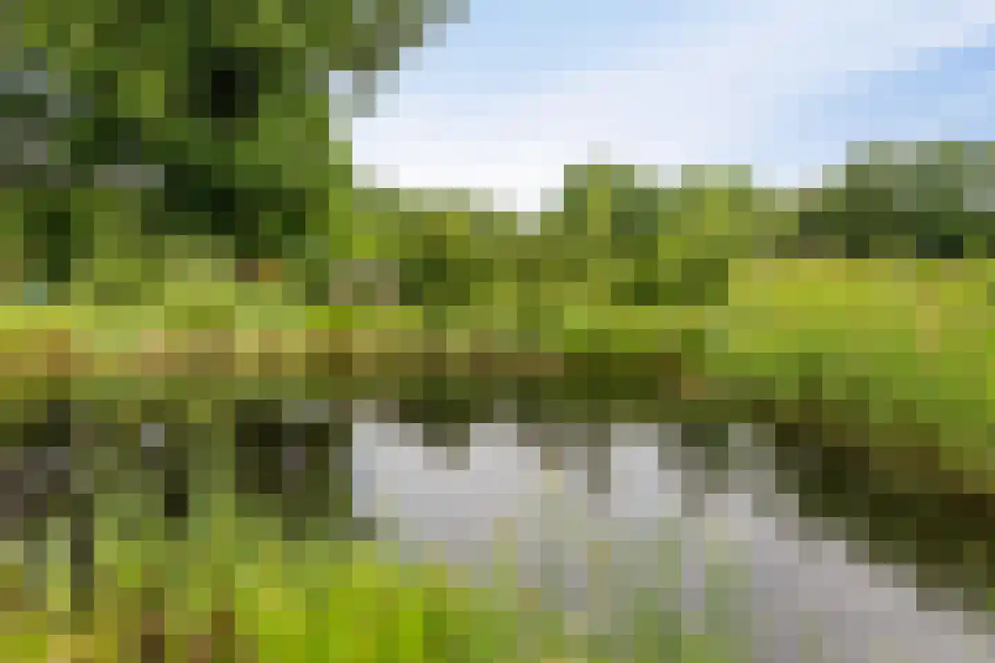 Westeinde 110 Nieuwleusen thumbnail 89