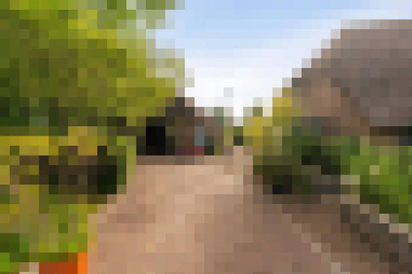 Westeinde 110 Nieuwleusen thumbnail 9