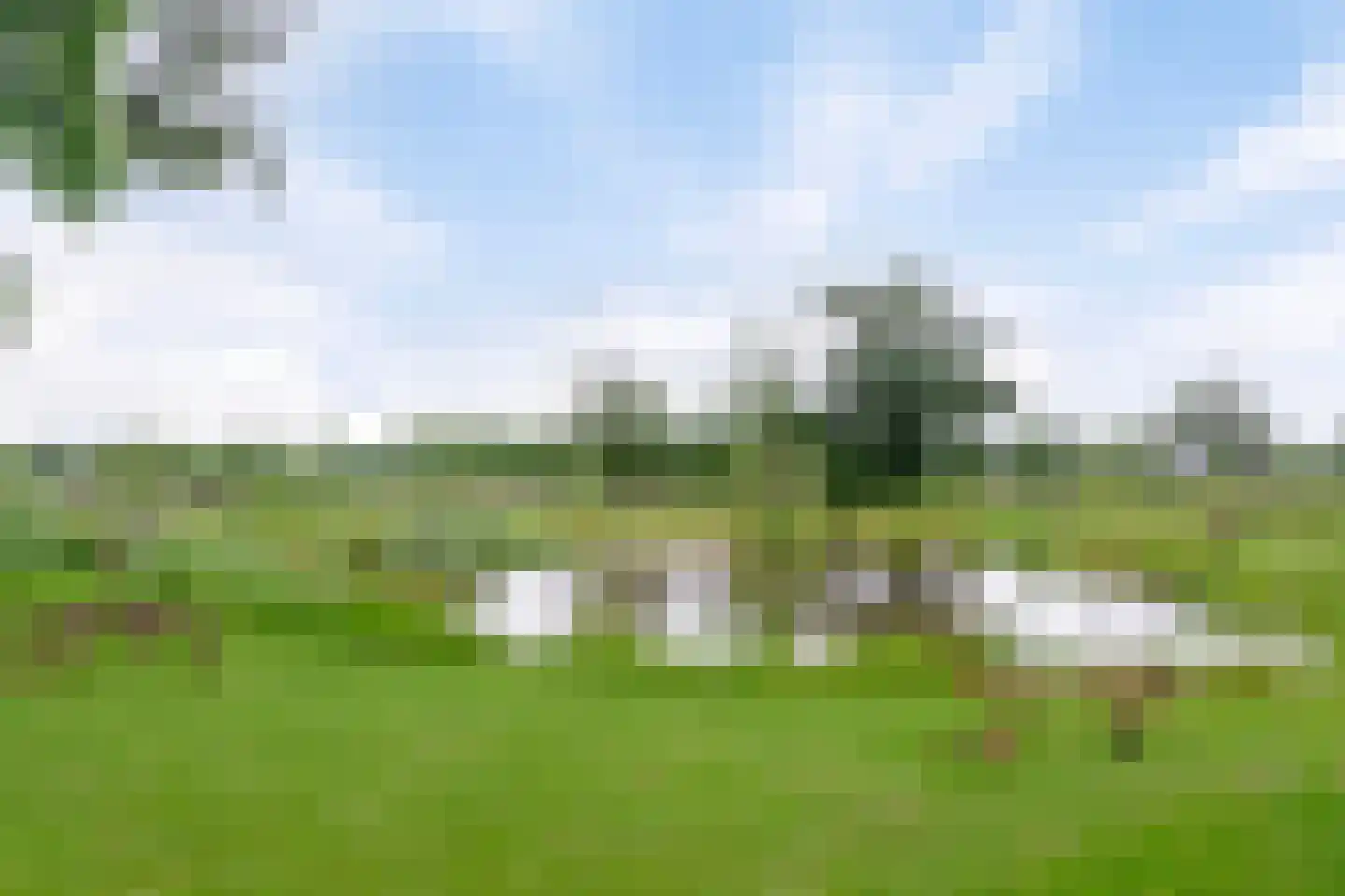 Westeinde 110 Nieuwleusen thumbnail 9