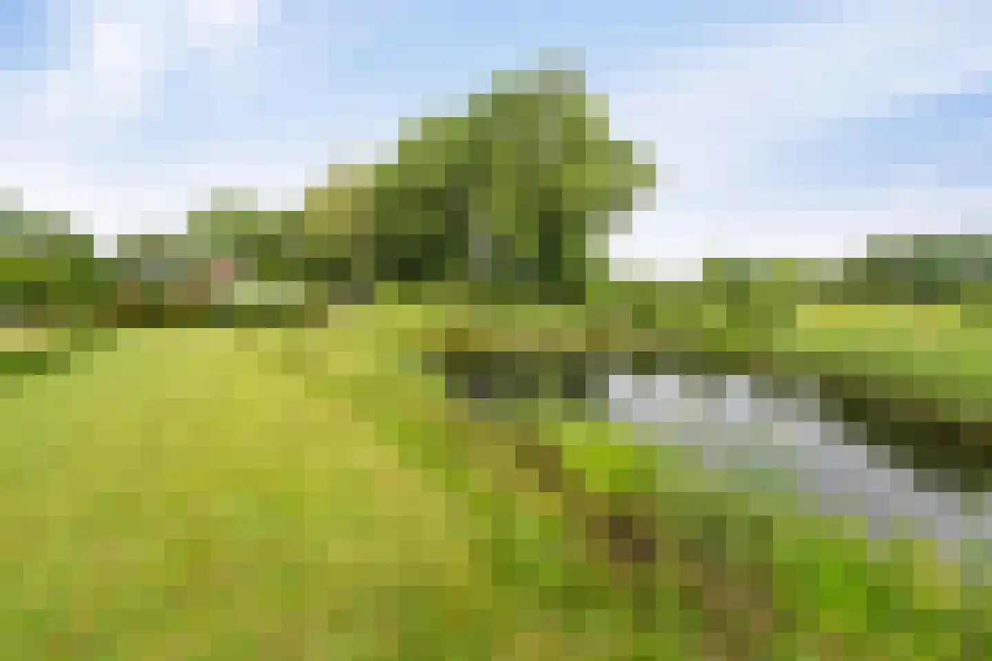Westeinde 110 Nieuwleusen thumbnail 90