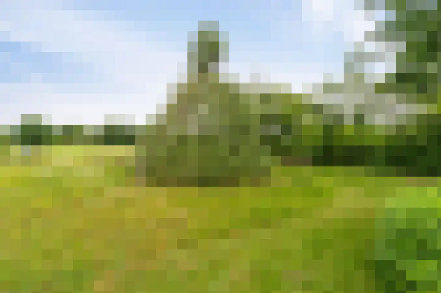 Westeinde 110 Nieuwleusen thumbnail 91