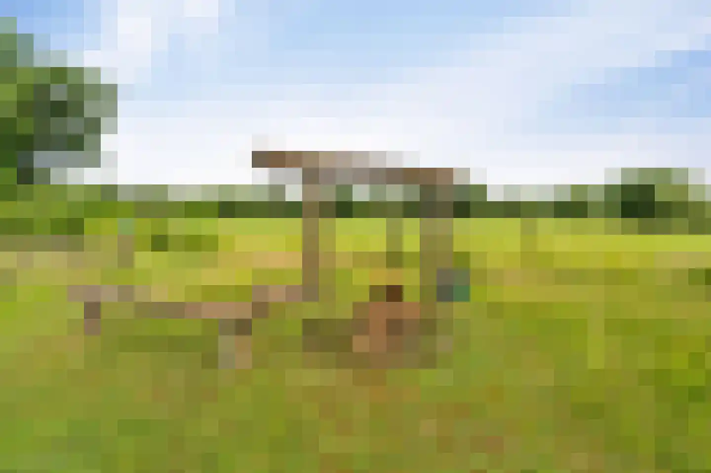 Westeinde 110 Nieuwleusen thumbnail 92