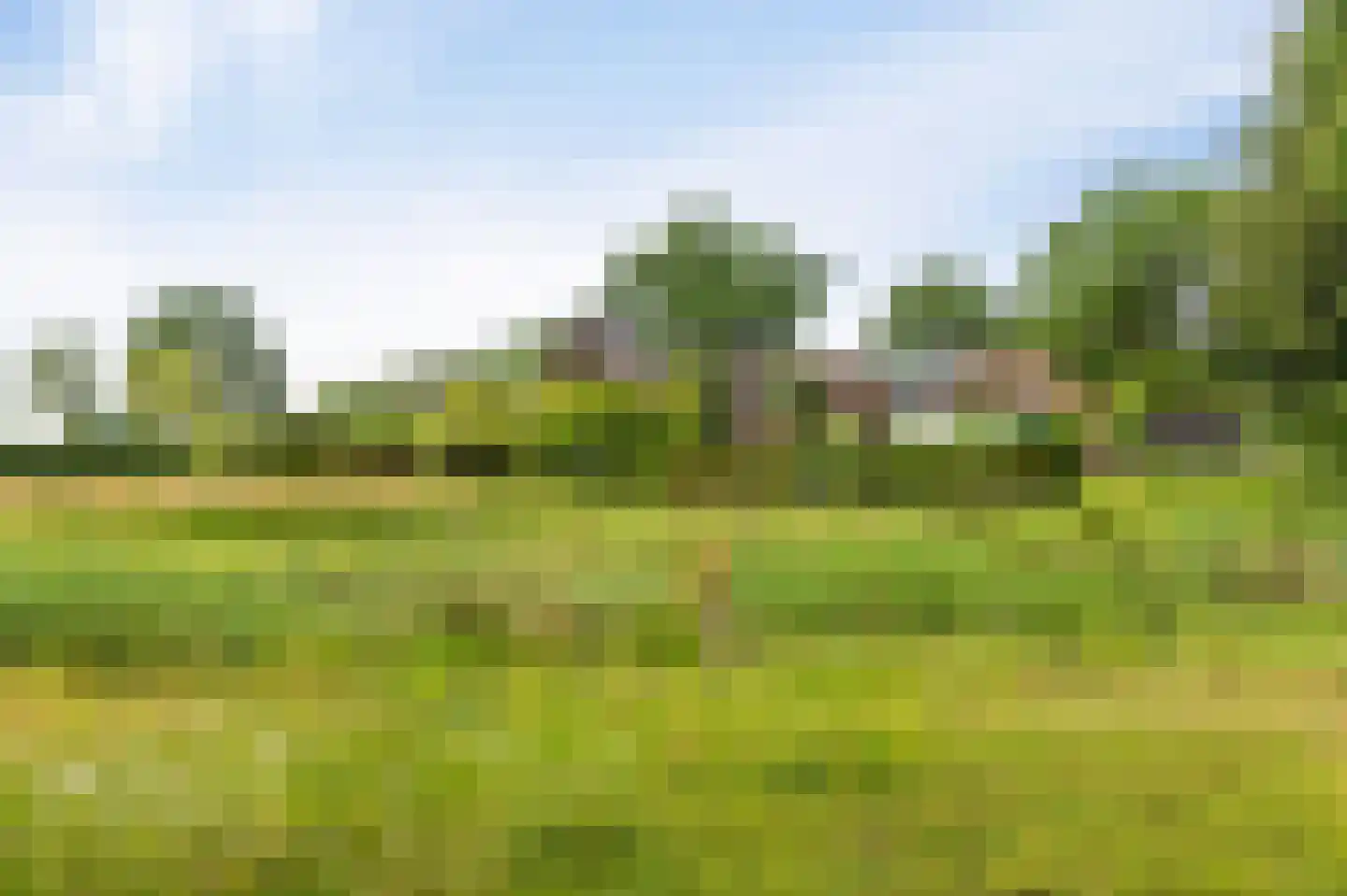 Westeinde 110 Nieuwleusen thumbnail 93