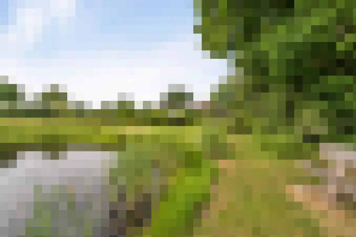 Westeinde 110 Nieuwleusen thumbnail 94