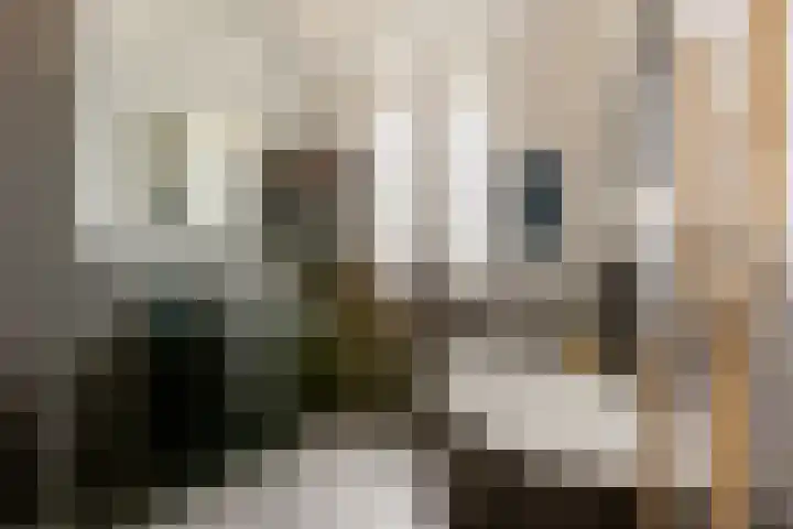 Westeinde 115 Moordrecht thumbnail 31