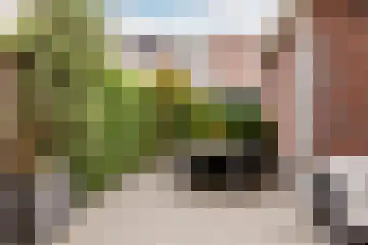 Westeinde 115 Moordrecht thumbnail 47