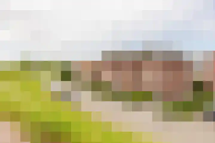 Westeinde 115 Moordrecht thumbnail 51