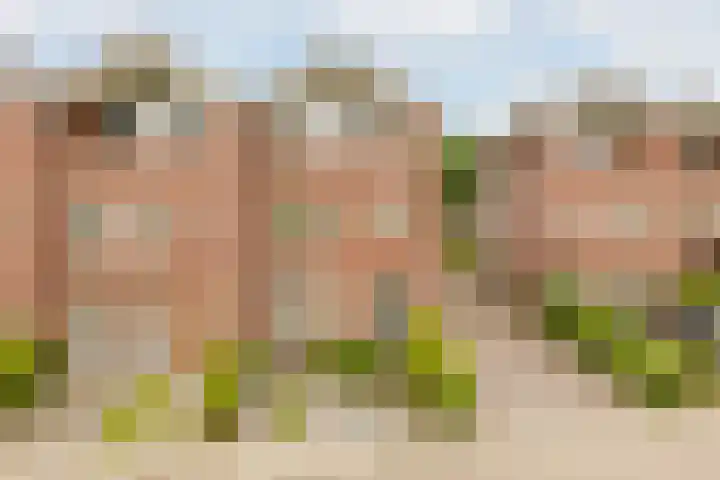 Westeinde 115 Moordrecht thumbnail 6