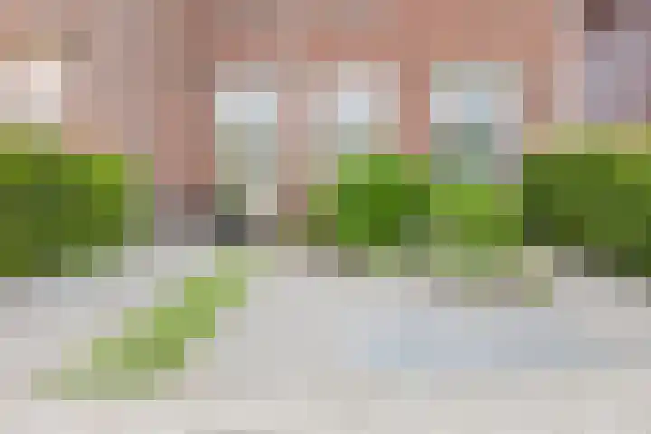 Westeinde 115 Moordrecht thumbnail 8