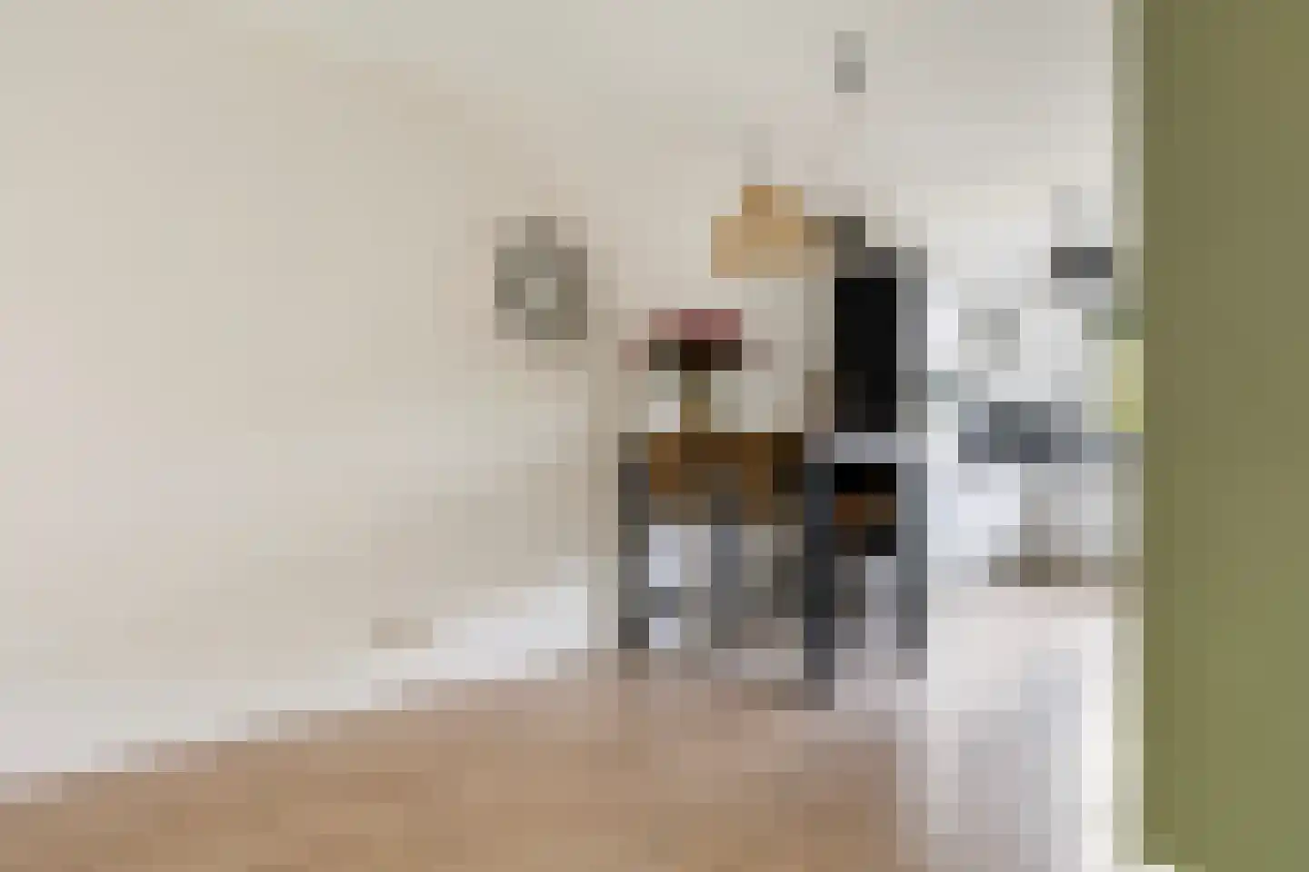 Westeinde 12 Scherpenzeel thumbnail 15