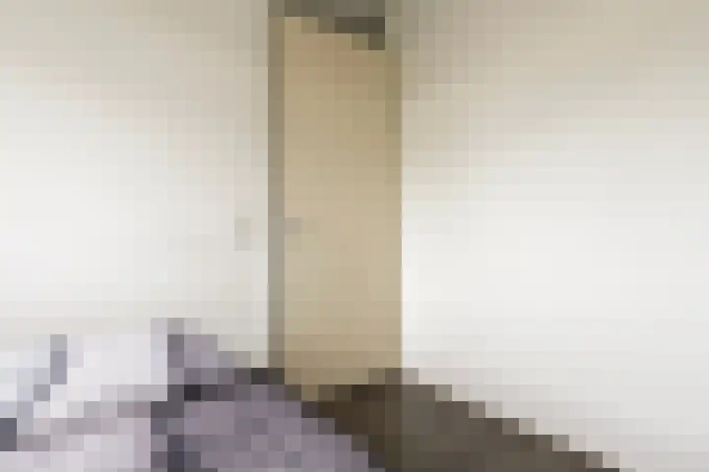 Westeinde 12 Scherpenzeel thumbnail 22