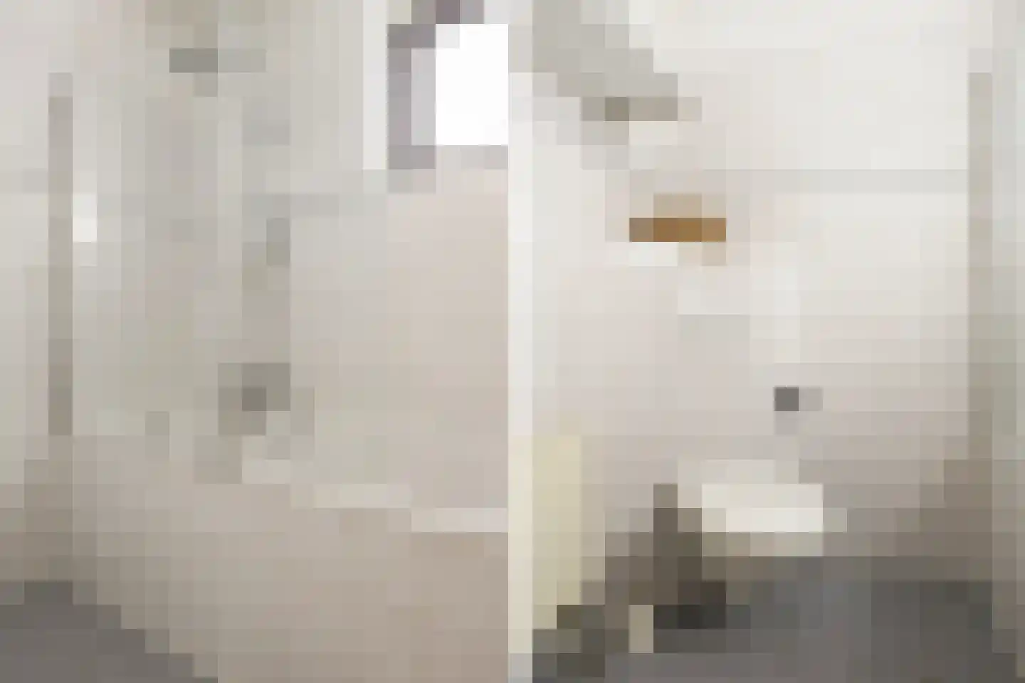 Westeinde 12 Scherpenzeel thumbnail 27