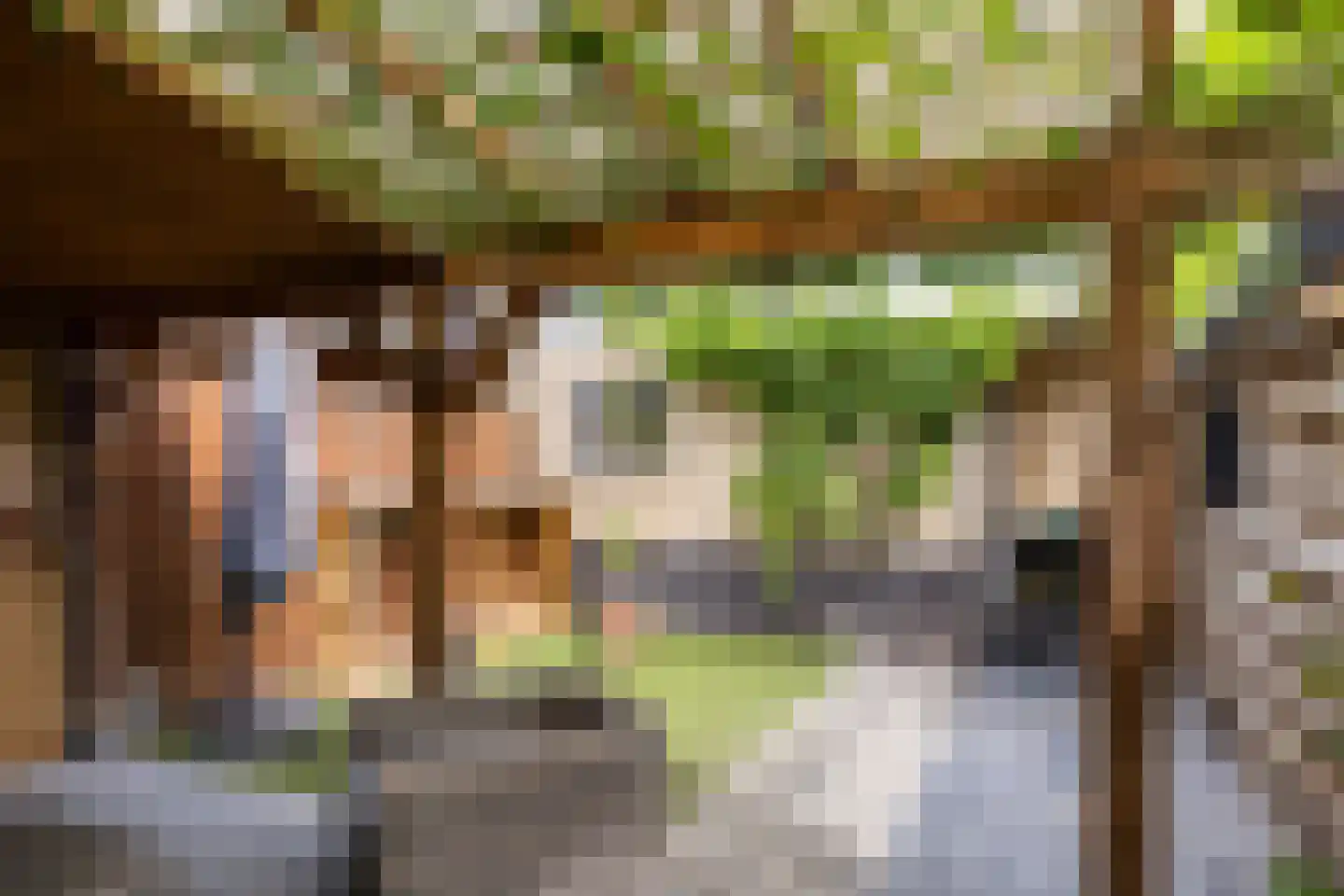 Westeinde 12 Scherpenzeel thumbnail 34