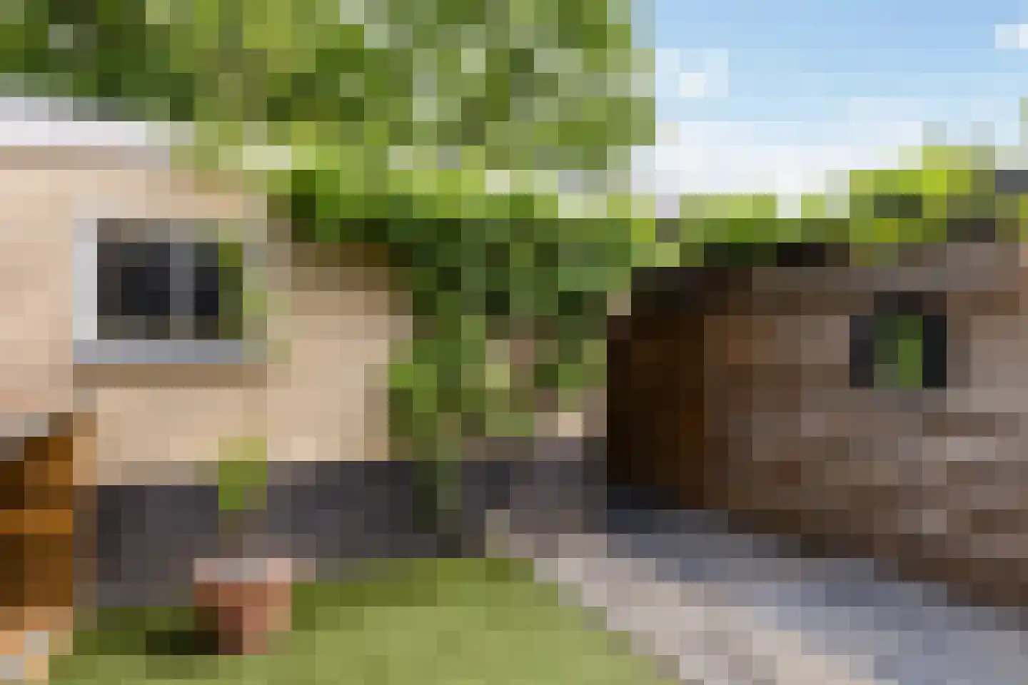 Westeinde 12 Scherpenzeel thumbnail 35