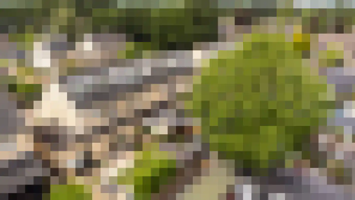 Westeinde 12 Scherpenzeel thumbnail 38