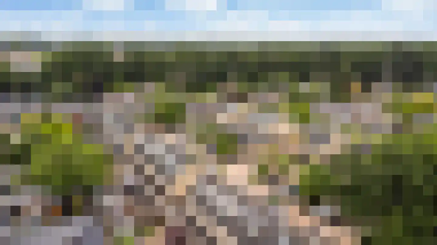 Westeinde 12 Scherpenzeel thumbnail 39