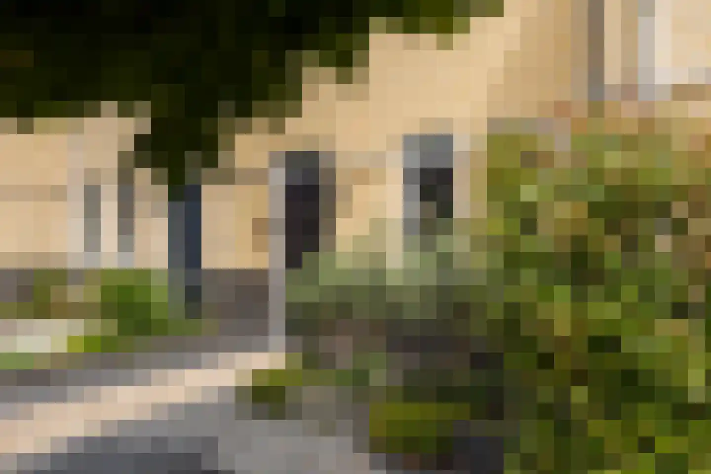 Westeinde 12 Scherpenzeel thumbnail 9