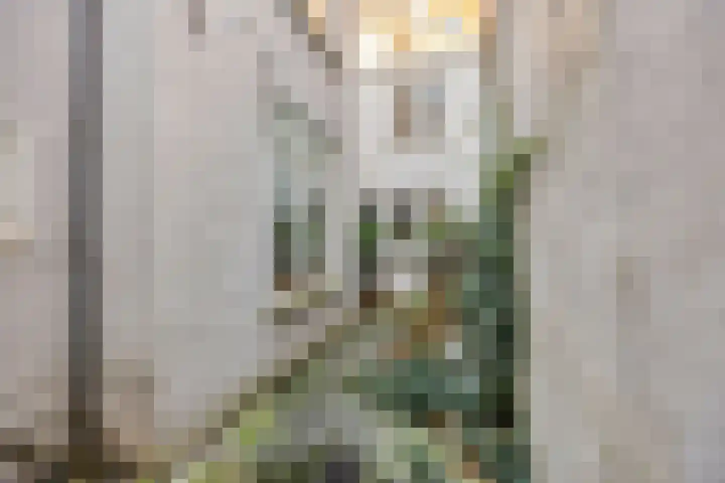 Westeinde 127 A Den Haag thumbnail 18