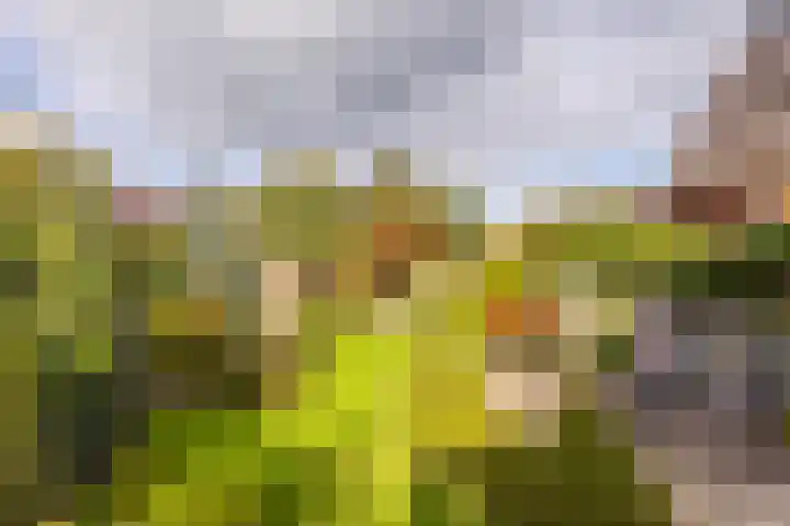 Westeinde 137 Moordrecht thumbnail 41