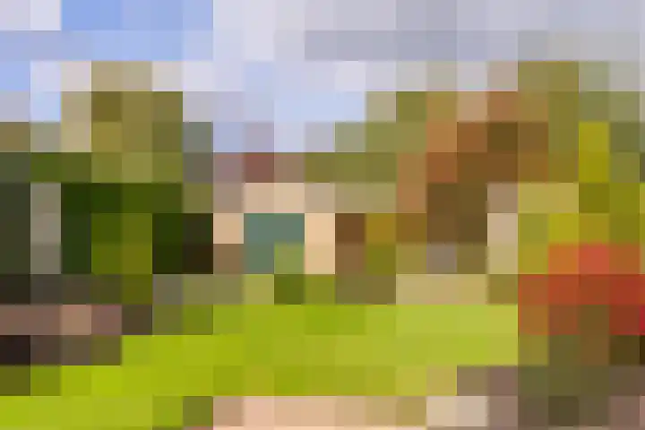 Westeinde 137 Moordrecht thumbnail 43