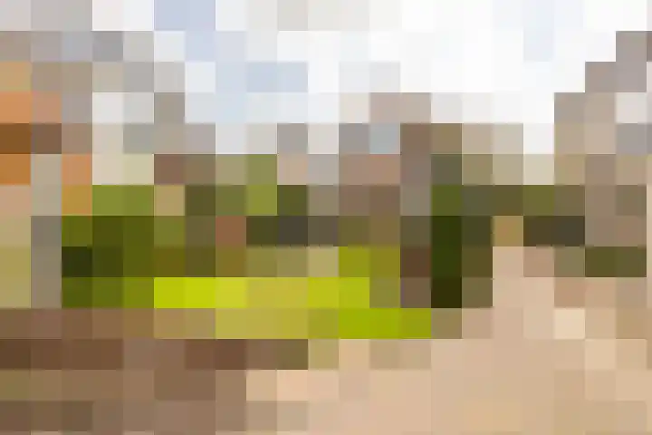 Westeinde 137 Moordrecht thumbnail 46