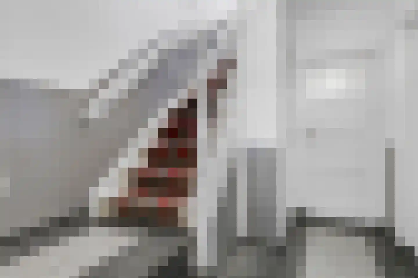 Westeinde 14 Zevenaar thumbnail 14