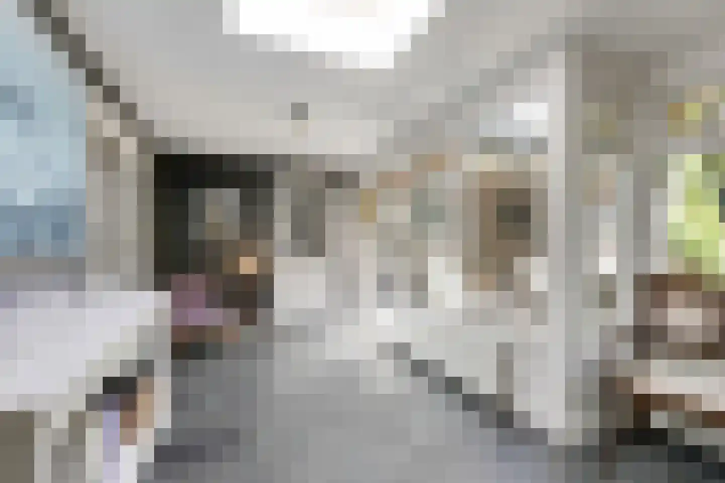 Westeinde 14 Zevenaar thumbnail 30