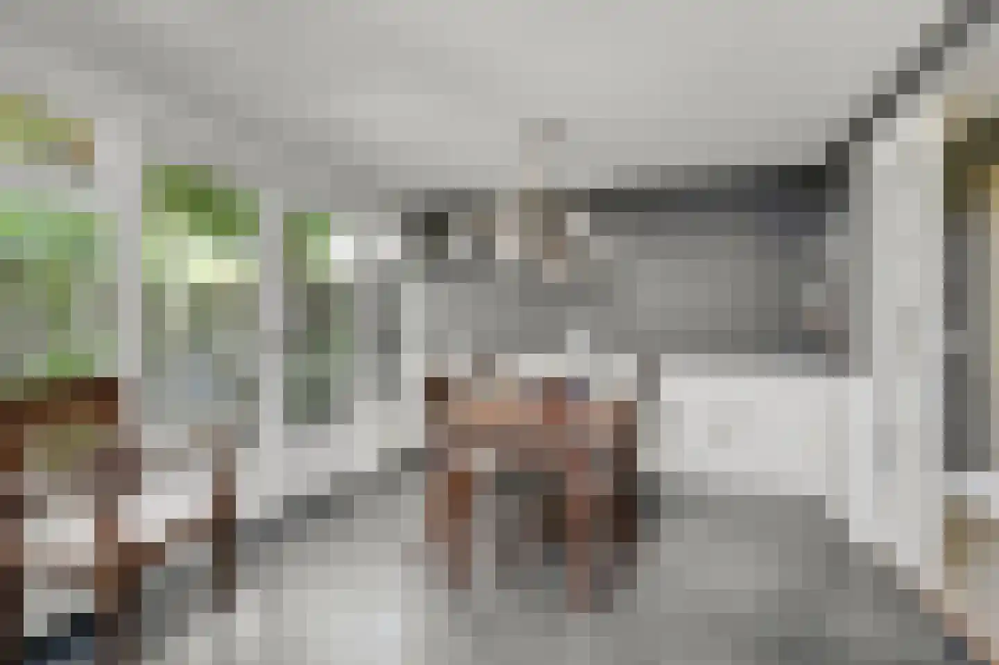 Westeinde 14 Zevenaar thumbnail 31