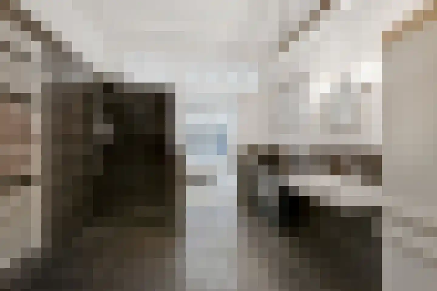 Westeinde 14 Zevenaar thumbnail 37