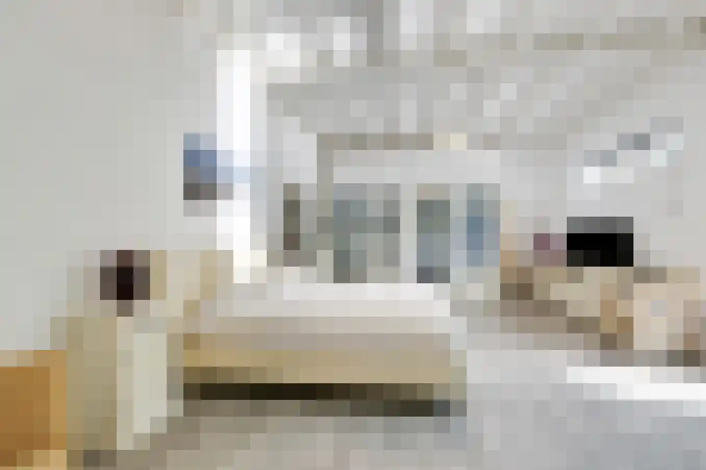 Westeinde 14 Zevenaar thumbnail 38