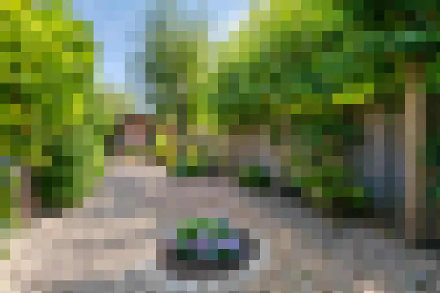 Westeinde 14 Zevenaar thumbnail 59